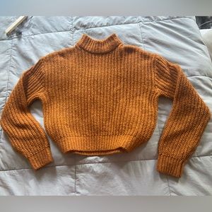 Cropped Knit Turtleneck
